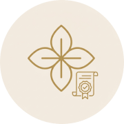 web image icon | Luna Digital